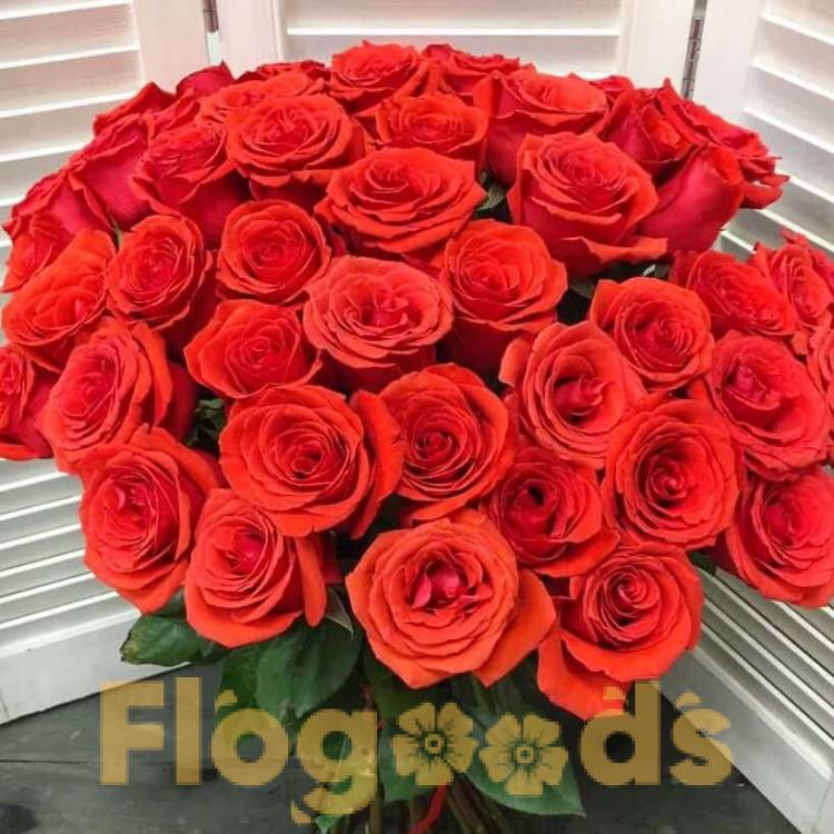 51 красная роза за 19 601 руб.